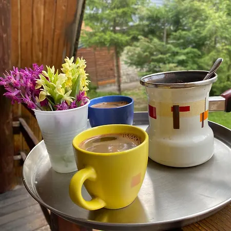 Holiday home Planinska Kuca Divna *