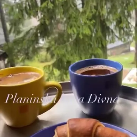 Holiday home Planinska Kuca Divna